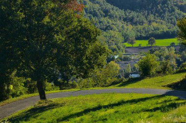 Gün batımında bir tepenin kenarında meşe ağacı.