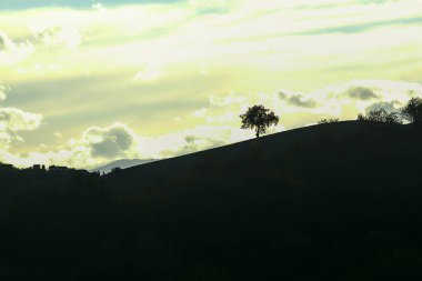 Sonbaharın ilk günbatımında tepedeki bir ağacın silueti.