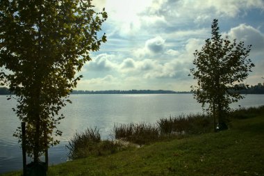 Arka planda açık gökyüzü olan, göl kıyısında sarı yapraklı bir ağaç.