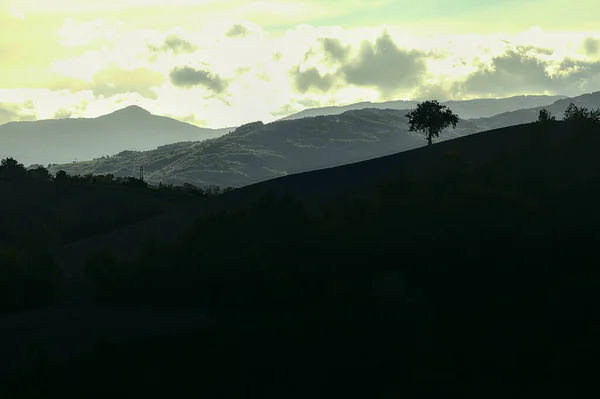 Silhouette Albero Lontananza Una Collina Tramonto All Inizio Dell Autunno — Foto Stock