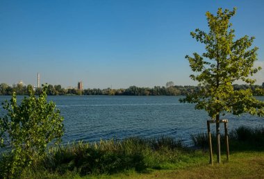 Sonbaharın açık bir gününde ağaçlar tarafından çerçevelenmiş Lakeshore