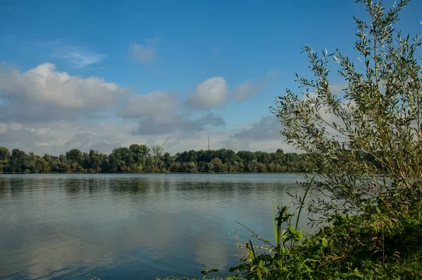 Lakeshore Oprawione Przez Drzewo Jasny Dzień Jesienią — Zdjęcie stockowe