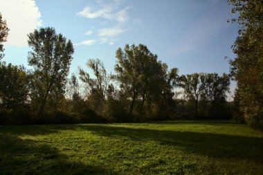 Sonbaharda sabah bir parkta açık alan