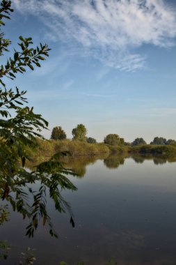 Sonbaharda sabah bir turba bataklığında.