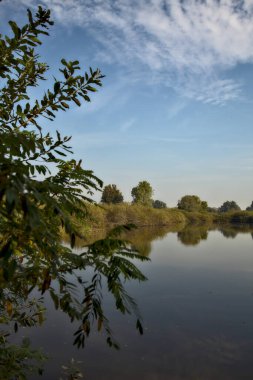 Sonbaharda sabah bir turba bataklığında.