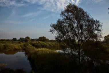 Sonbaharda, sonbaharda, sabah yukarıdan görülen turba bataklığı