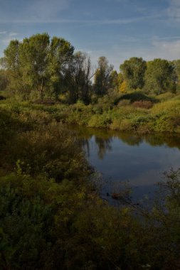 Sonbaharda, sonbaharda, sabah yukarıdan görülen turba bataklığı