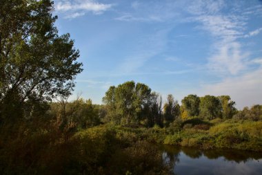 Sonbaharda, sonbaharda, sabah yukarıdan görülen turba bataklığı