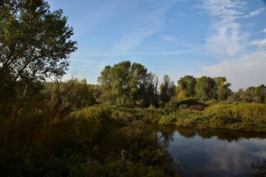 Sonbaharda, sonbaharda, sabah yukarıdan görülen turba bataklığı