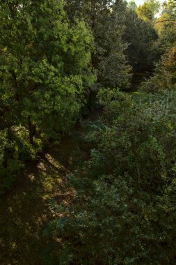 Yol çimlerle kaplı ve sonbaharda sabahları turba bataklığında ağaçlarla çevrili.