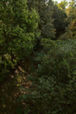 Yol çimlerle kaplı ve sonbaharda sabahları turba bataklığında ağaçlarla çevrili.