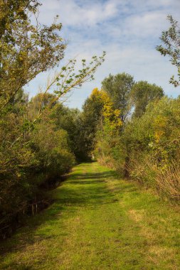 Yol çimlerle kaplı ve sonbaharda sabahları turba bataklığında ağaçlarla çevrili.