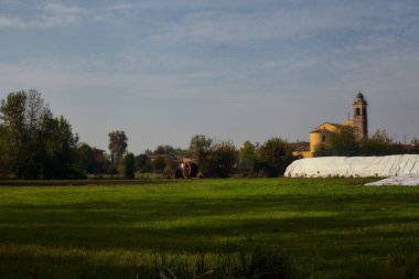 Sonbaharda kırsalda küçük bir kasabanın ufuk çizgisi