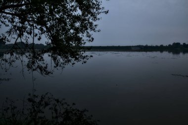 Sonbaharda gün batımında suya yansıyan bir ağaç tarafından çerçevelenmiş.