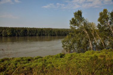 Sonbaharda selden sonra ağaçlarla çevrili bir nehrin kıyısında.