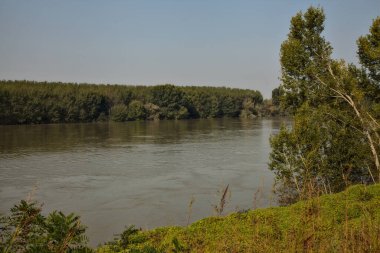 Sonbaharda selden sonra ağaçlarla çevrili bir nehrin kıyısında.