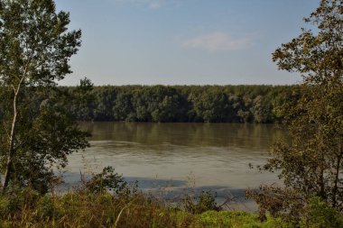 Sonbaharda selden sonra ağaçlarla çevrili bir nehrin kıyısında.