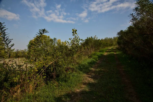 Weg Einem Feld Auf Dem Land Herbst — Stockfoto