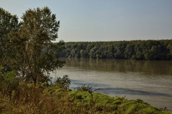 Sonbaharda Selden Sonra Ağaçlarla Çevrili Bir Nehrin Kıyısında — Stok fotoğraf