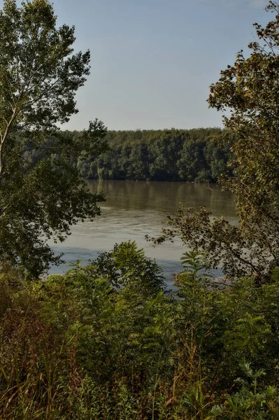 Brzeg Rzeki Graniczącej Drzewami Powodzi Jesienią — Zdjęcie stockowe
