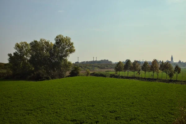 Feld Auf Dem Land Herbst Mittags Mit Bäumen Der Ferne — Stockfoto