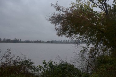 Sonbaharda hafif bir yağmur sırasında ağaçlar tarafından çerçevelenmiş bir nehir