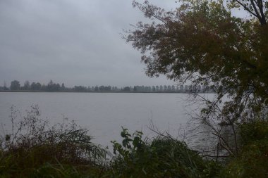 Sonbaharda hafif bir yağmur sırasında ağaçlar tarafından çerçevelenmiş bir nehir