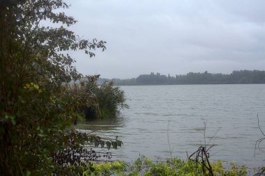 Sonbaharda hafif bir yağmur sırasında ağaçlar tarafından çerçevelenmiş bir nehir