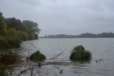 Sonbaharda, hafif bir yağış sırasında kıyılarında bir orman olan bir nehir.