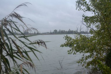 Sonbaharda hafif bir yağmur sırasında ağaçlar tarafından çerçevelenmiş bir nehir