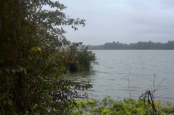 Sonbaharda hafif bir yağmur sırasında ağaçlar tarafından çerçevelenmiş bir nehir