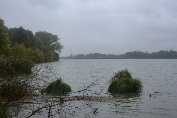 秋天的一条河 在小雨中 岸边有一片森林 — 图库照片