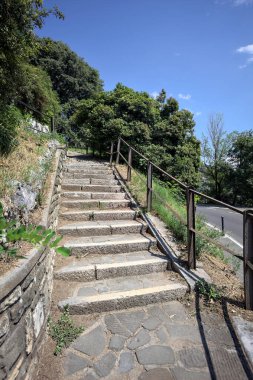 Güneşli bir günde etrafı ormanla çevrili bir uçurumun kenarındaki virajın yanındaki merdivende.