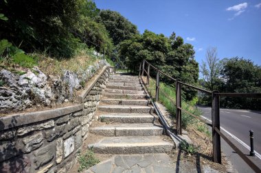 Güneşli bir günde etrafı ormanla çevrili bir uçurumun kenarındaki virajın yanındaki merdivende.