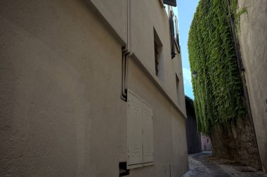 Taştan binaların arasında dar, kaldırımlı dar bir ara sokakta onlardan birinin cephesinde sürünen bir bitki var.