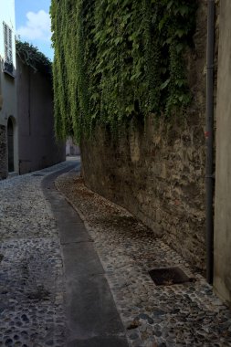Taştan binaların arasında dar, kaldırımlı dar bir ara sokakta onlardan birinin cephesinde sürünen bir bitki var.