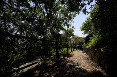 Güneşli bir günde, bir uçurumun kenarında çakıllı bir patika.