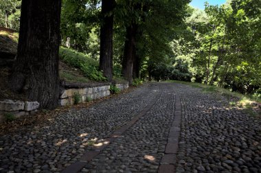 Gölgede çakıl taşlı patika Parkta bir sıra ağaçla çevrili
