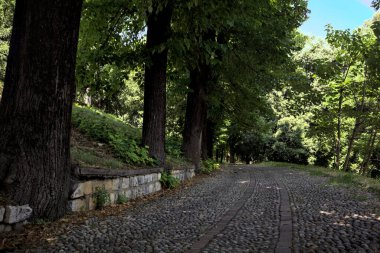 Gölgede çakıl taşlı patika Parkta bir sıra ağaçla çevrili