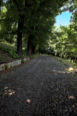 Gölgede çakıl taşlı patika Parkta bir sıra ağaçla çevrili