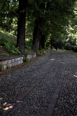Gölgede çakıl taşlı patika Parkta bir sıra ağaçla çevrili