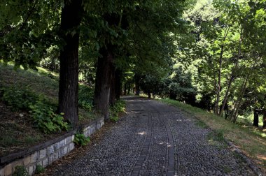 Gölgede çakıl taşlı patika Parkta bir sıra ağaçla çevrili