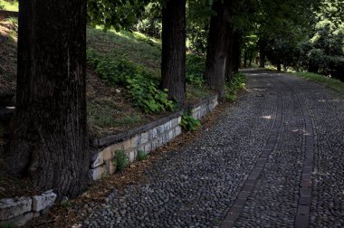 Gölgede çakıl taşlı patika Parkta bir sıra ağaçla çevrili