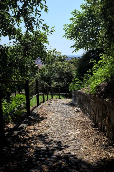 Güneşli bir günde, bir uçurumun kenarında çakıllı bir patika.