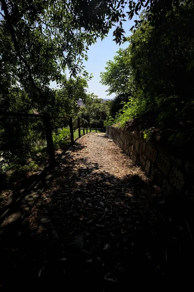 Güneşli bir günde, bir uçurumun kenarında çakıllı bir patika.