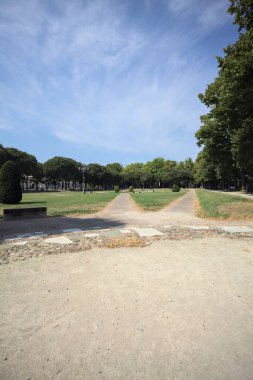 Opening forming a square with trails and bushes bordered by trees on it in a park on a sunny day