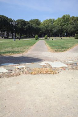Opening forming a square with trails and bushes bordered by trees on it in a park on a sunny day