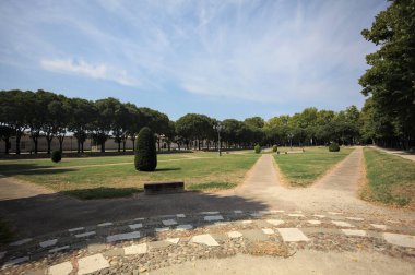 Opening forming a square with trails and bushes bordered by trees on it in a park on a sunny day