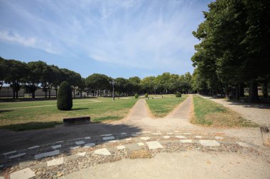 Opening forming a square with trails and bushes bordered by trees on it in a park on a sunny day