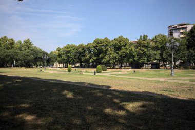 Opening forming a square with trails and bushes bordered by trees on it in a park on a sunny day